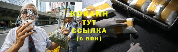 spice Арсеньев