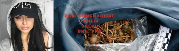 соль ск Алексеевка