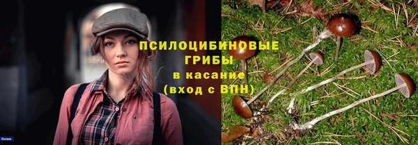 spice Арсеньев
