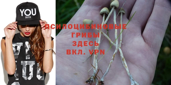 spice Арсеньев