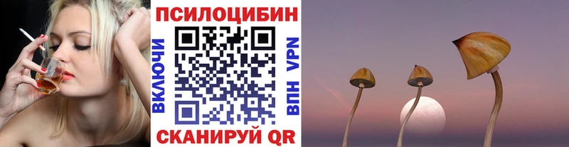 Галлюциногенные грибы Cubensis  hydra ТОР  Геленджик 