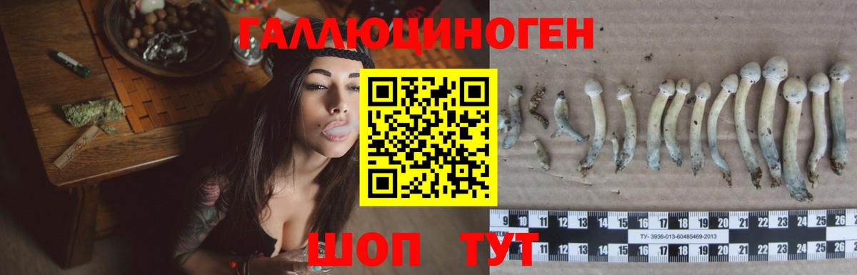 наркотики  Галлюциногенные грибы Psilocybine cubensis  Псилоцибиновые грибы прущие грибы  Вход с VPN  Геленджик 